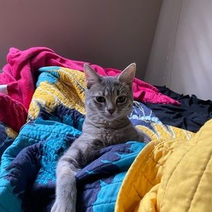 Meet your Posher, Bianca